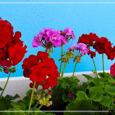 Dunas Gran Canaria *